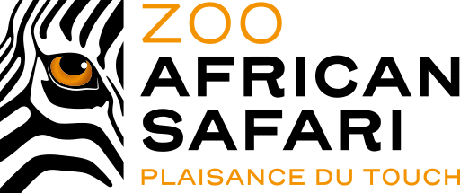 zoo african safari