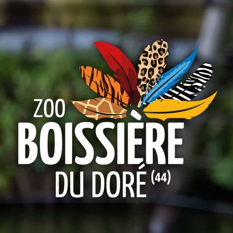 zoo boissiere dore
